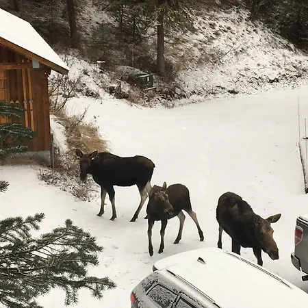 Jackson Hole Hideout